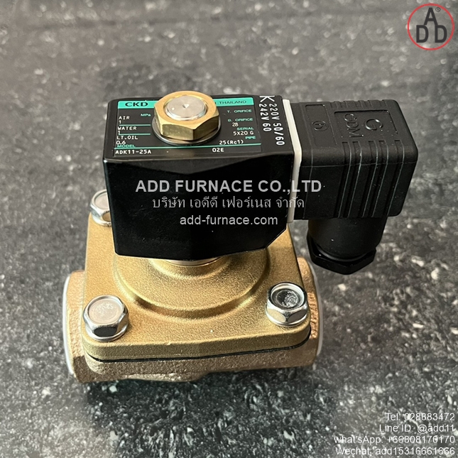 ADK11-25A-02E-AC220V (4) 